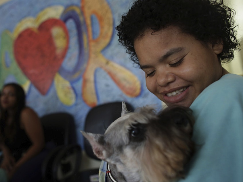caption: Jaqueline Castro plays with a Schnauzer named Paola at the Support Hospital of Brasilia, Brazil, on Nov. 24, 2016, as part of program set up to help patients with chronic diseases or recovering from trauma.