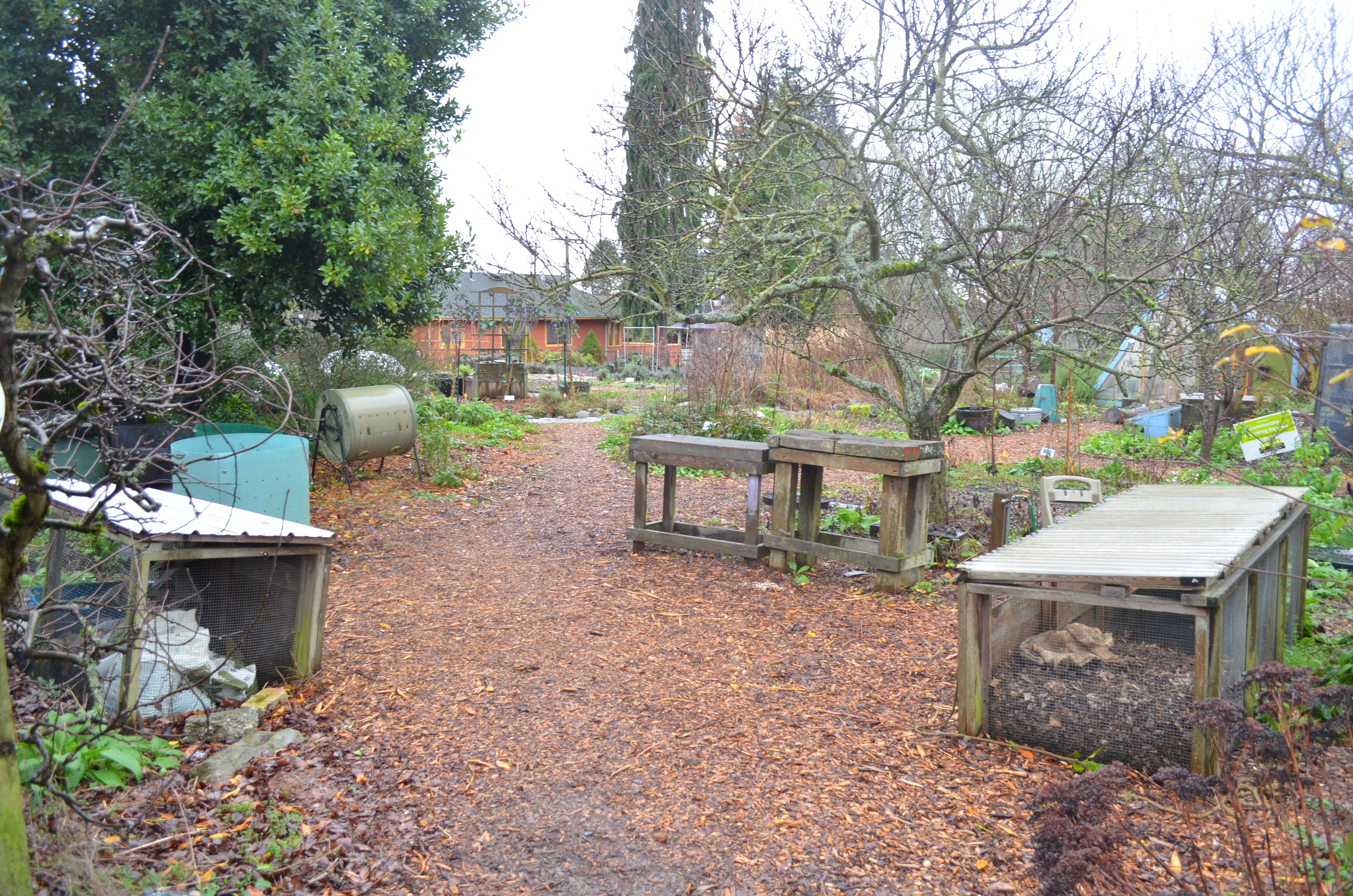 caption: Tilth operates an urban farm in Seattle's Wallingford neighborhood.