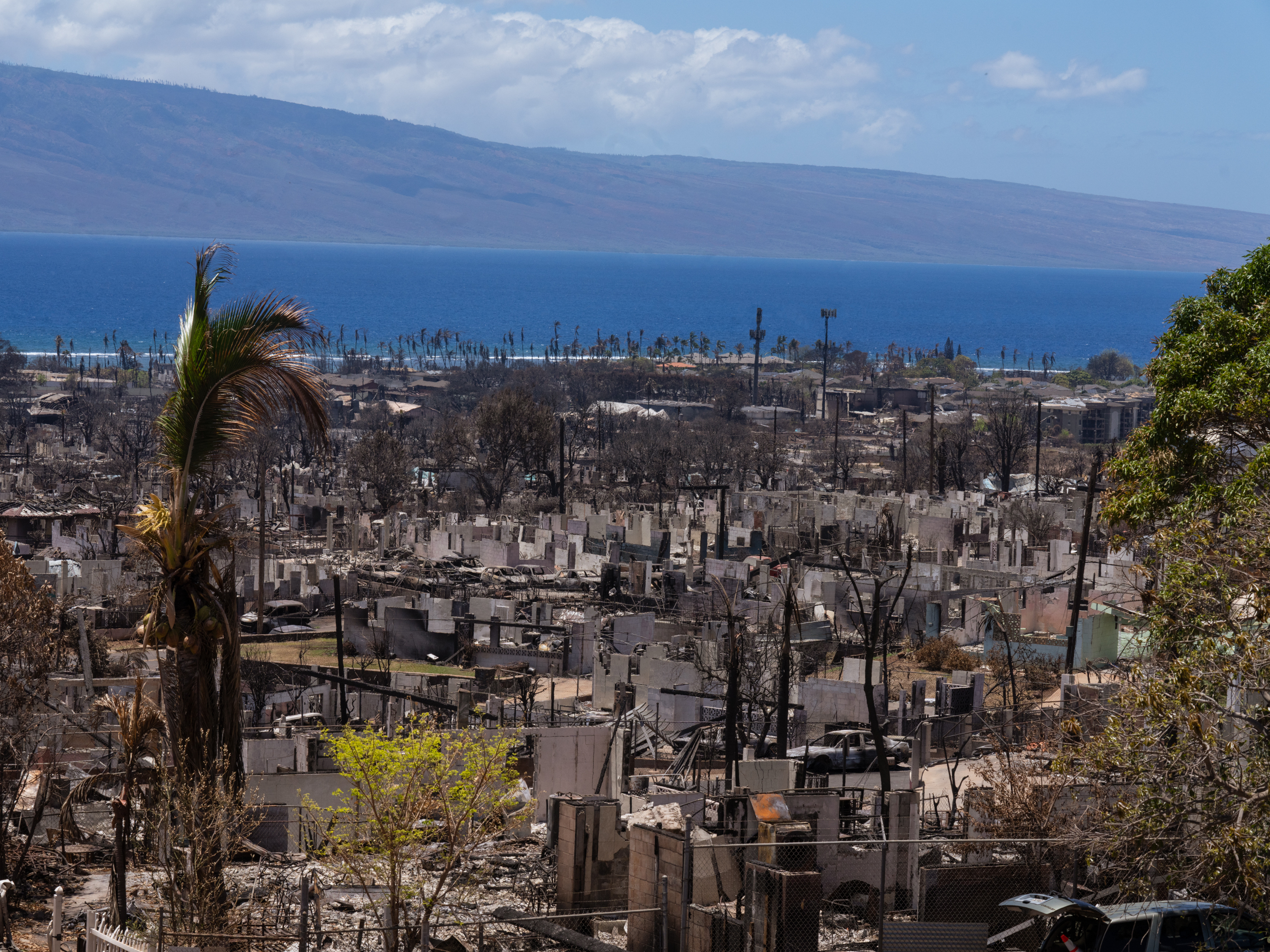 caption: The extreme wildfire that hit Lahaina burned all the way to the coast. As the clean up continues, rainstorms could wash toxic runoff into the ocean.