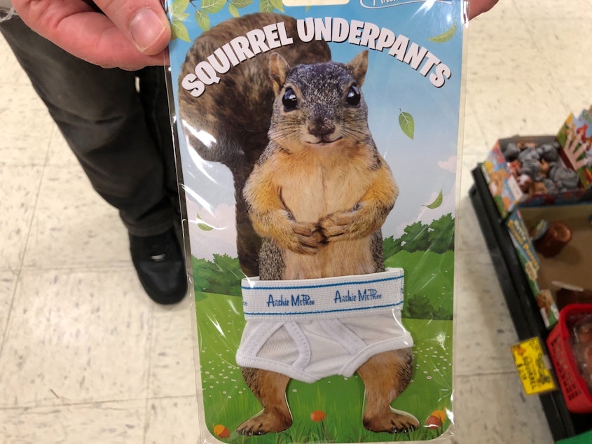 caption: Squirrel Underpants at Archie McPhee in Seattle's Wallingford neighborhood