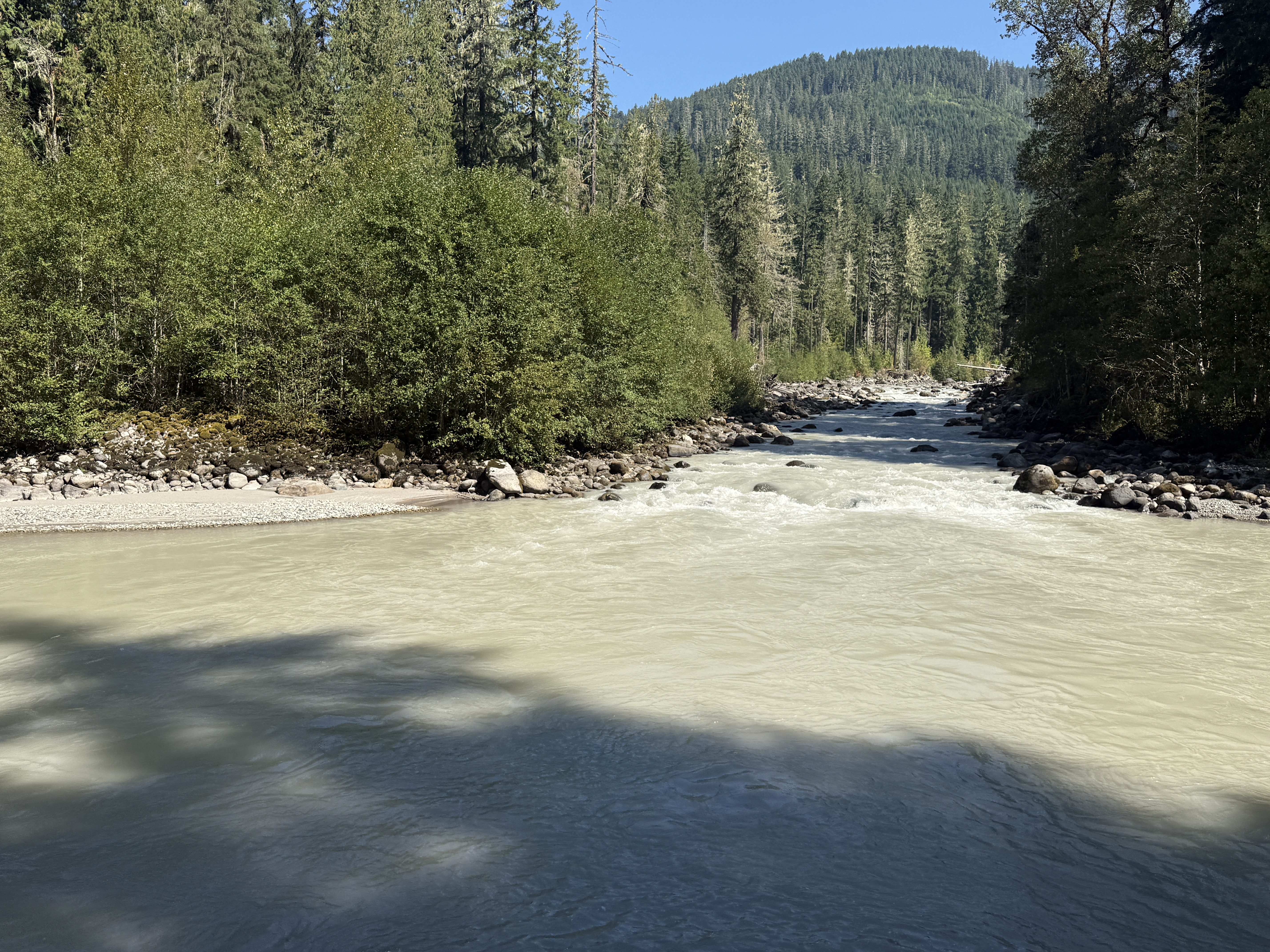 caption: Shade cools parts of the glacier-fed Sauk River outside Darrington, Washington, on Aug. 30, 2025.