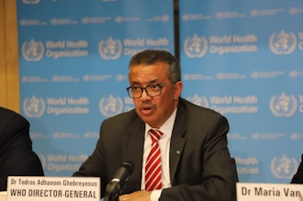caption: World Health Organization Director-General Tedros Adhanom Ghebreyesus at a news conference in March.
