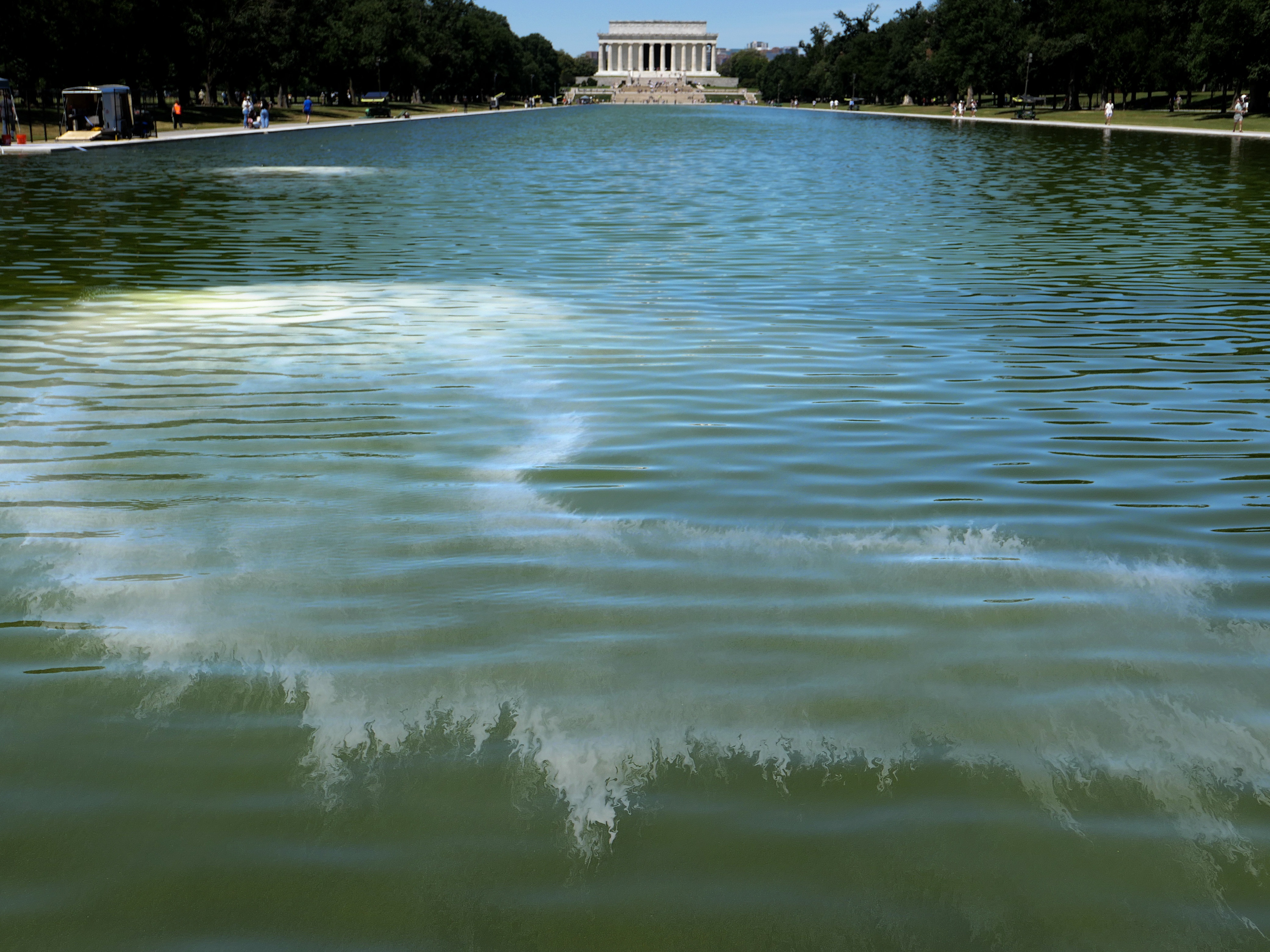 KUOW - Algae clouded Trump's vision for the Reflecting Pool. But ...