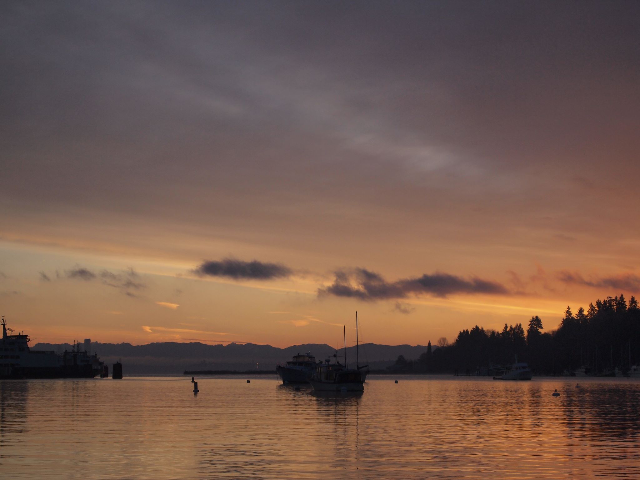 caption: The view from Dyer's "front porch" when he was a liveaboard in Bainbridge Island. Other liveaboards are anchored at the city's open water marina. 