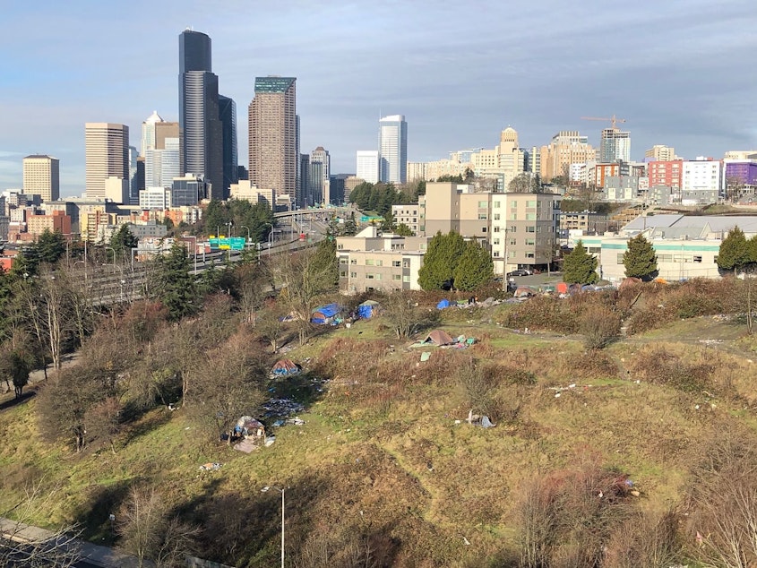 caption: This photo of the Seattle skyline and a homeless encampment was uploaded under the category "needles" to the Find It, Fix It app January 1, 2019. 