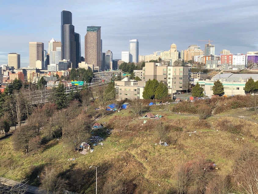 caption: This photo of the Seattle skyline and a homeless encampment was uploaded under the category "needles" to the Find It, Fix It app January 1, 2019.