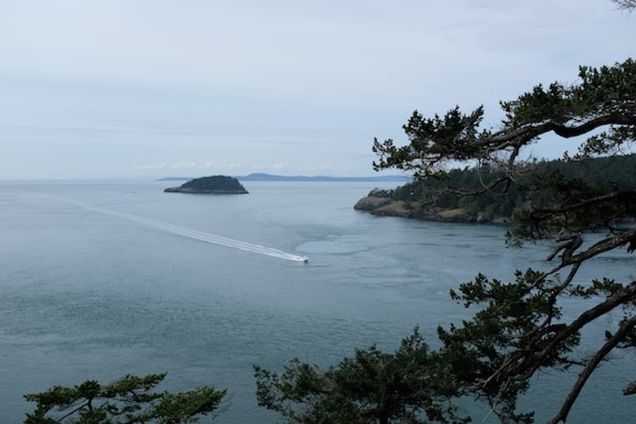 whidbey island oak harbor generic