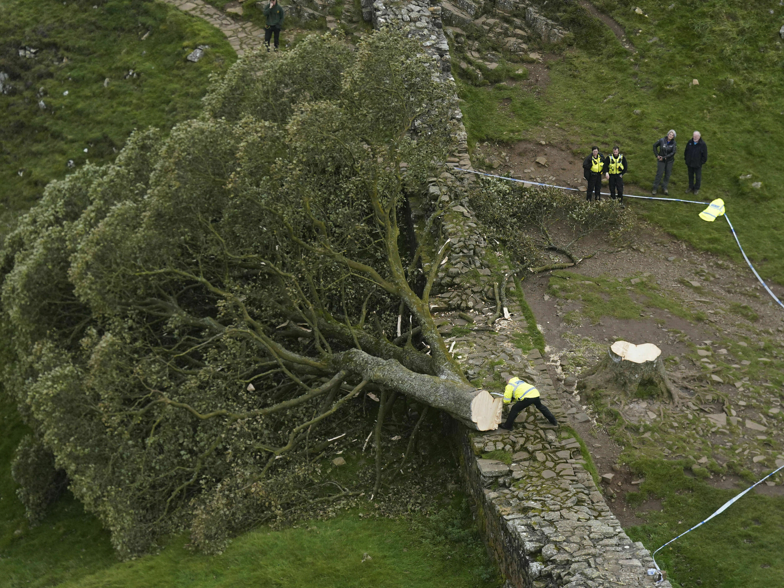 caption: Police officers look at the tree at Sycamore Gap, next to Hadrian's Wall, in Northumberland, England, Thursday on Thursday, Sept. 28, 2023. One of the UK's most photographed trees was "deliberately" felled in an apparent act of vandalism, authorities said. The 300-year-old tree was made famous when it appeared in Kevin Costner's 1991 film <em>Robin Hood: Prince Of Thieves</em>.