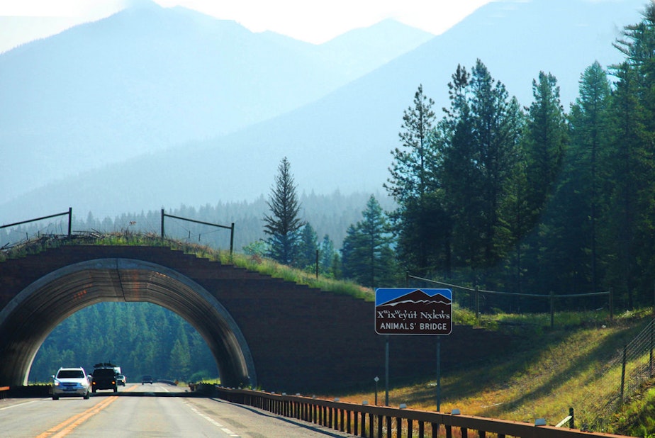 caption: An example of animal bridge on the Flathead Indian Reservation in Montana. Washington is building wildlife overpasses over I-90 near Snoqualmie Pass.