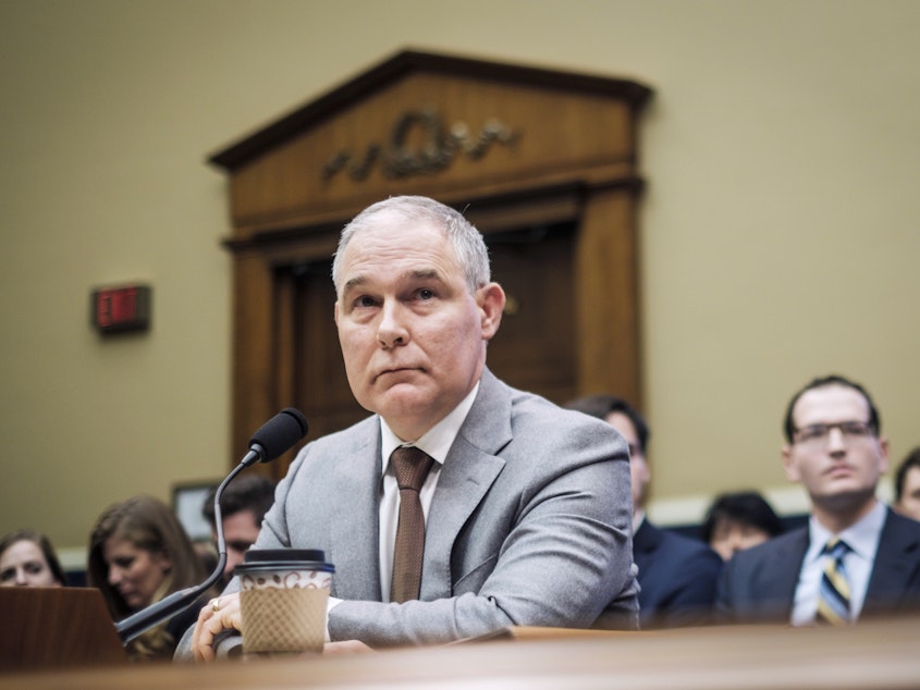 caption: Environmental Protection Agency Administrator Scott Pruitt was among the most controversial of President Trump's original Cabinet-level picks.