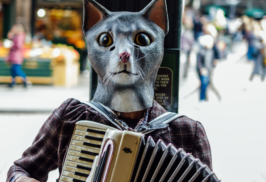 caption: A cat / person playing an accordion at Seattle's Pike Place Market. 