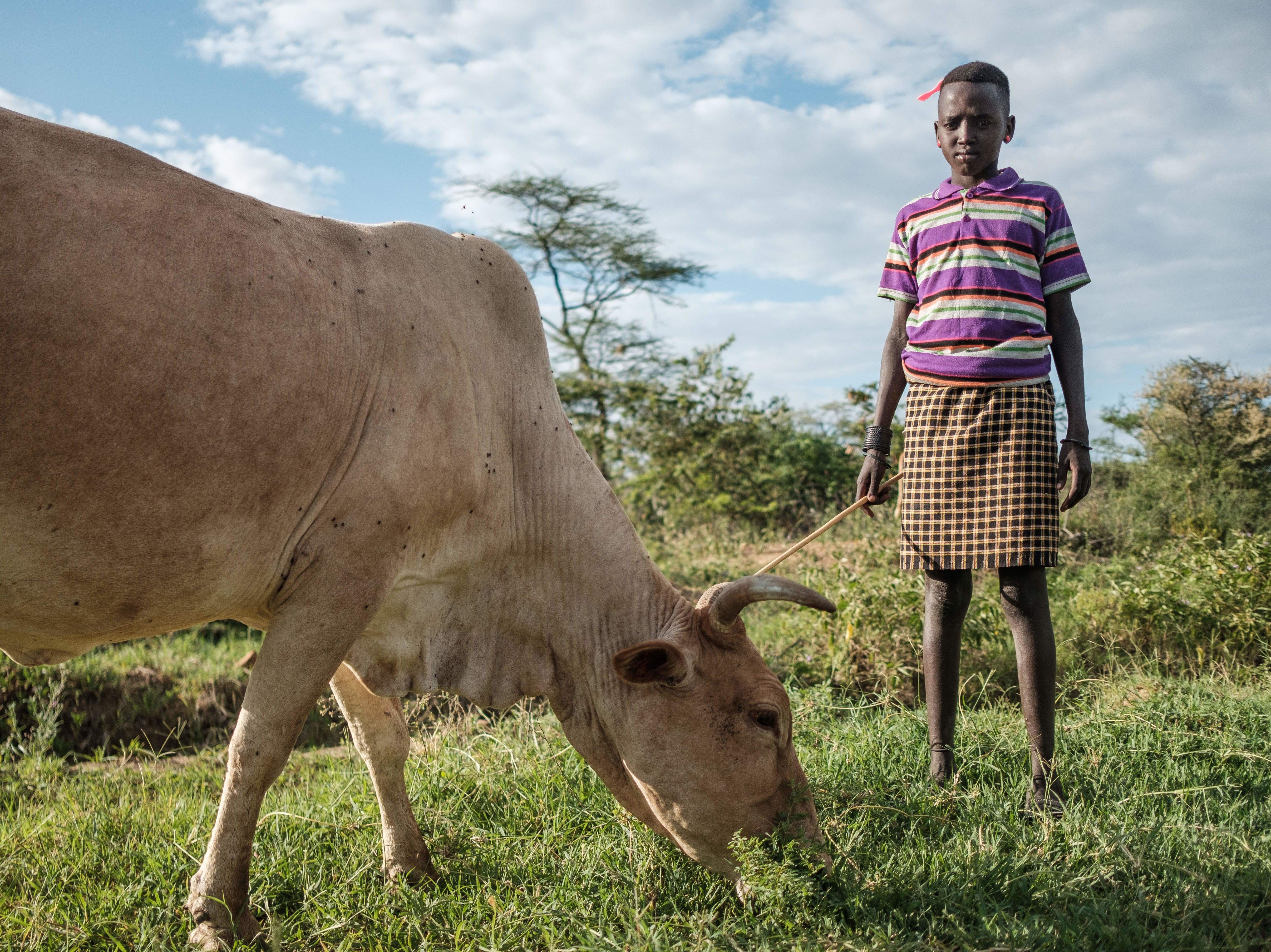 caption: A girl poses for a portrait while standing next to a cow in Nakaprit on February 15, 2020. - Nakaprit is home to traditional pastorialists who depend on their cattle for survival and with the threat of locust invasions, locals are worried the vegetation will be destroyed and their cows wont be able to feed.