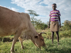 caption: A girl poses for a portrait while standing next to a cow in Nakaprit on February 15, 2020. - Nakaprit is home to traditional pastorialists who depend on their cattle for survival and with the threat of locust invasions, locals are worried the vegetation will be destroyed and their cows wont be able to feed.