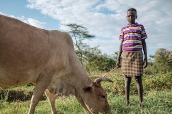 caption: A girl poses for a portrait while standing next to a cow in Nakaprit on February 15, 2020. - Nakaprit is home to traditional pastorialists who depend on their cattle for survival and with the threat of locust invasions, locals are worried the vegetation will be destroyed and their cows wont be able to feed.