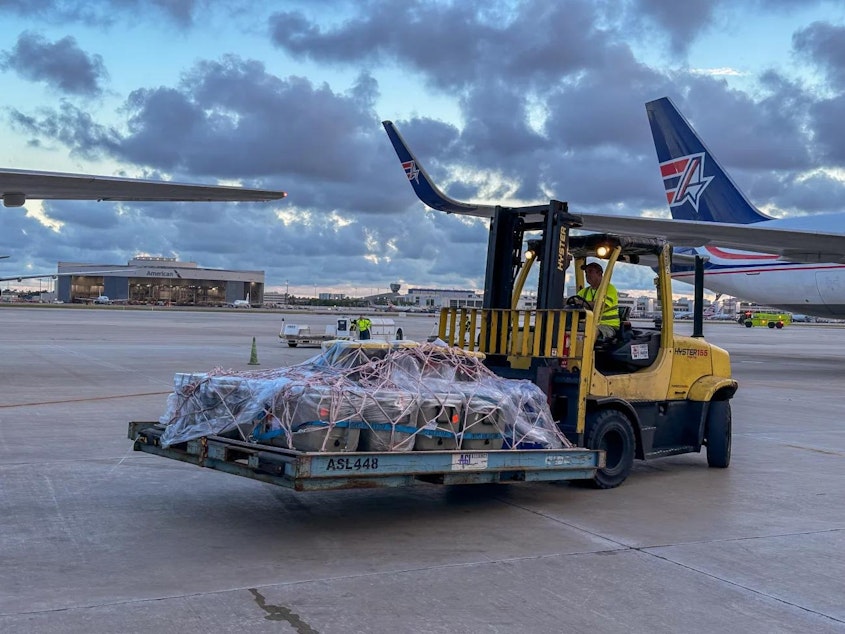 caption: A forklift at Miami International Airport moves coolers containing elkhorn and brain coral shipped to Miami from Honduras in June.
