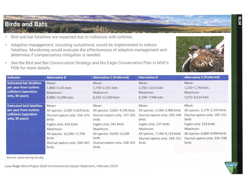 caption: Environmental Impact on Birds and Bats