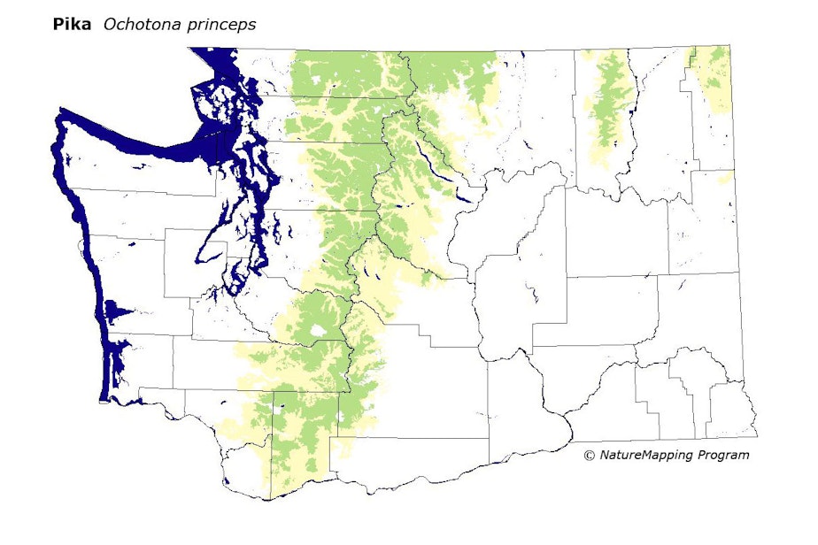 caption: The estimated distribution map for the American pika in Washington, compiled by data from the Washington Gap Analysis Project and Nature Mapping Program.