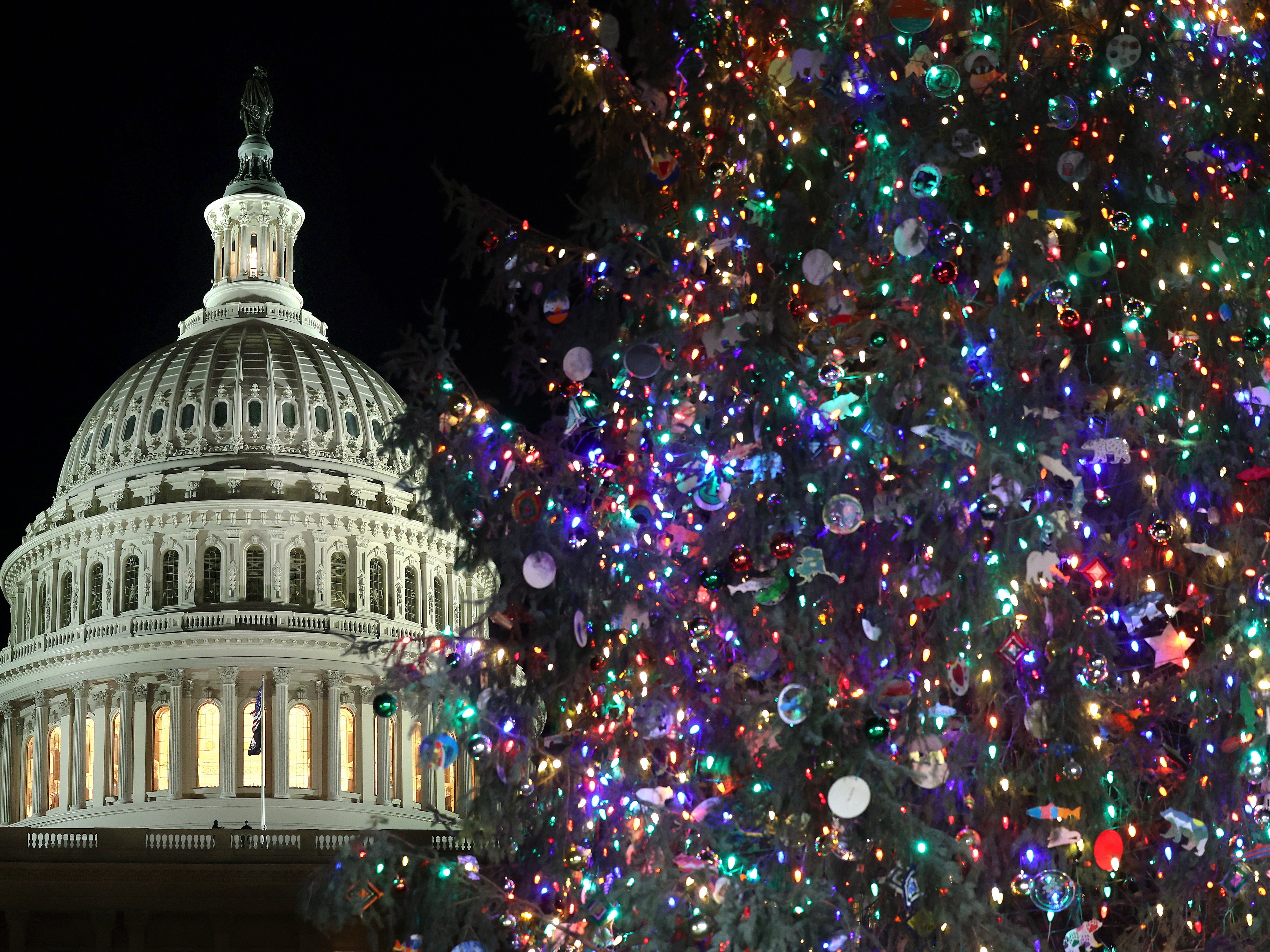 caption: The U.S. Capitol Christmas Tree is up outside the building where GOP leaders are furiously scrambling to find a way to avoid a government shutdown at the end of the day on Friday.