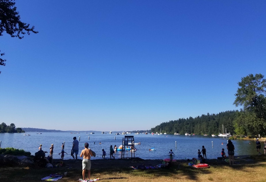 caption: Seattlites try to stay cool during a July 2022 heat wave by dipping in the water at Seward Park. Tuesday, July 26 hit a high of 94 degrees in Seattle, setting a new record. 