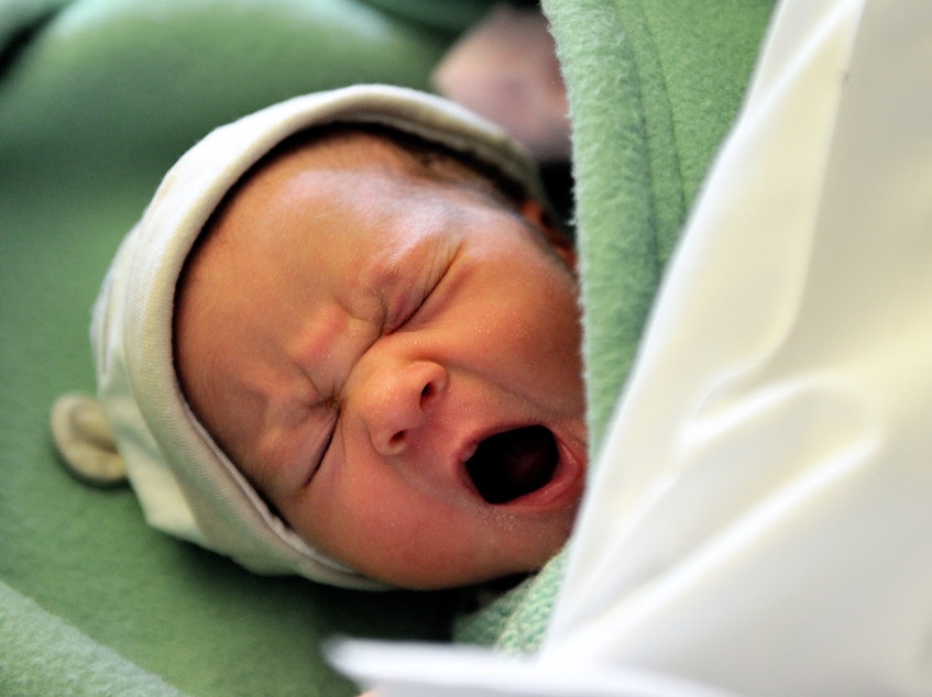 caption: A newborn cries on September 17, 2013 at the maternity of the Lens hospital, northern France. A study of crying mice could help explain some building blocks of human infant cries and adult speech.