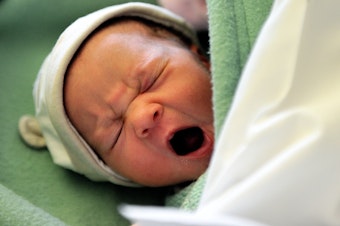 caption: A newborn cries on September 17, 2013 at the maternity of the Lens hospital, northern France. A study of crying mice could help explain some building blocks of human infant cries and adult speech.