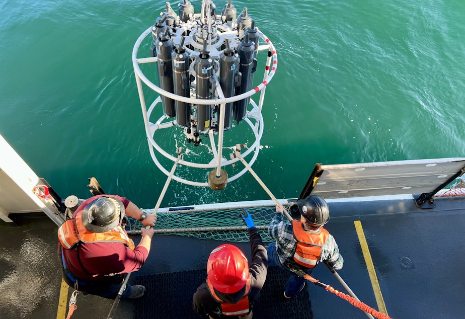 caption:  The deck crew on NOAA's Bell M. Shimada hauls the CTD machine back on deck after it collected water samples from the ocean.
