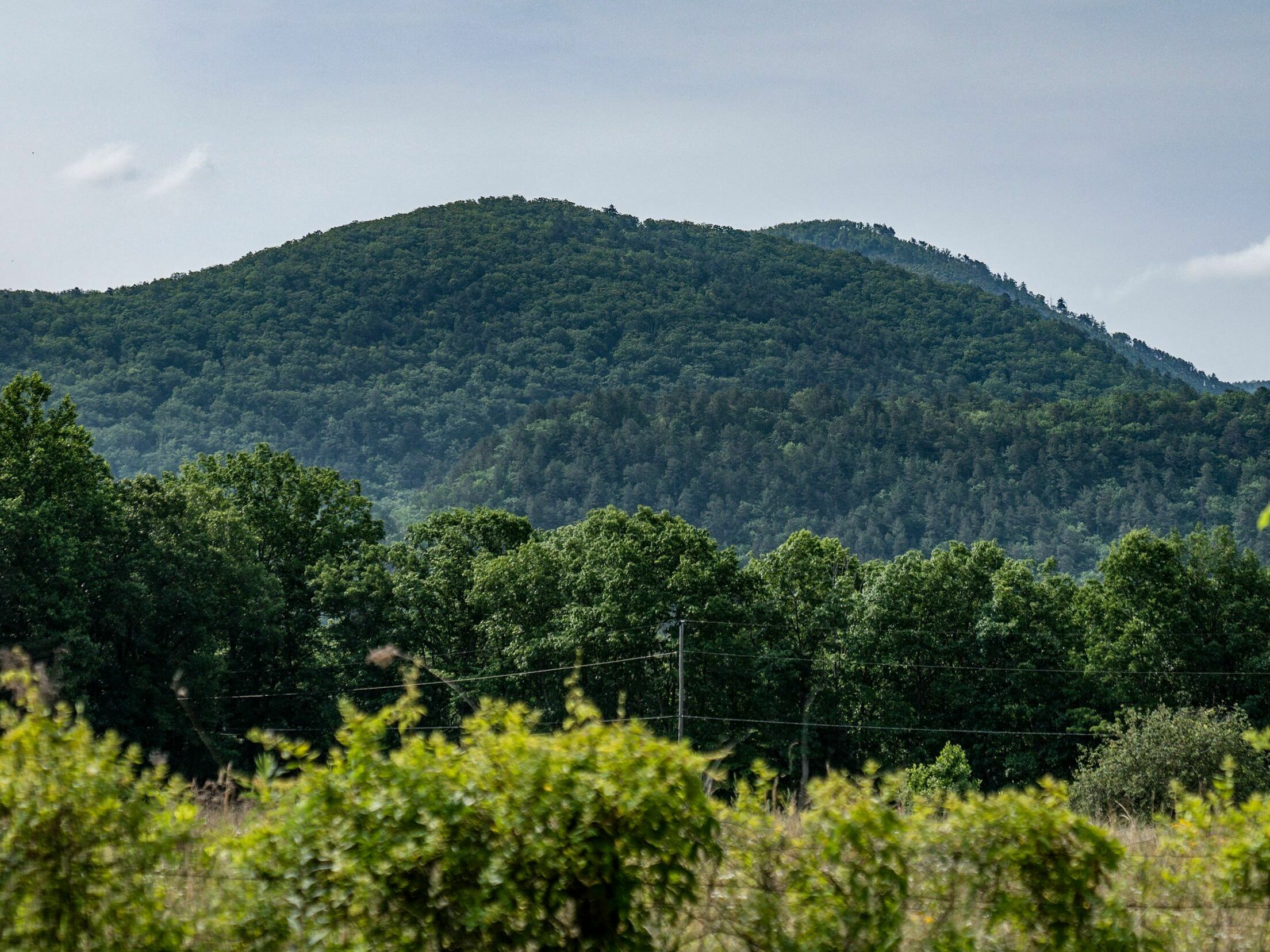 caption: Saint Mary's Wilderness is seen in the distance on June 5, 2023. A Cessna Citation jet crashed over mountainous terrain Sunday afternoon near Montebello, Va. Aviation officials are investigating the fatal crash of the unresponsive plane that flew over the nation's capital, prompting F-16 fighter jets to be scrambled.