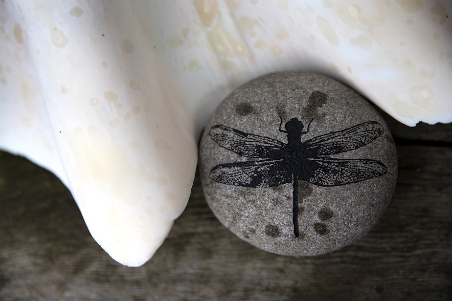 caption: A dragonfly is painted on a rock outside of Tui Tui the houseboat and self declared sovereign nation, on Tuesday, March 26, 2024, in Seattle. Janet Yoder’s nickname is ‘Dragonfly.’ 