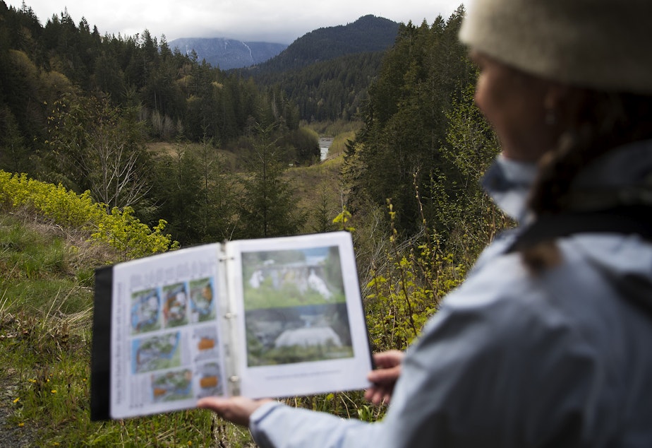 caption: Guide Carolyn Wilcox holds a before-and-after image of a dam removal site along the Elwha River on Wednesday, April 13, 2022, near Port Angeles. 