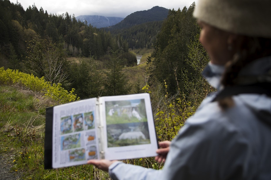 caption: Guide Carolyn Wilcox holds a before-and-after image of a dam removal site along the Elwha River on Wednesday, April 13, 2022, near Port Angeles.