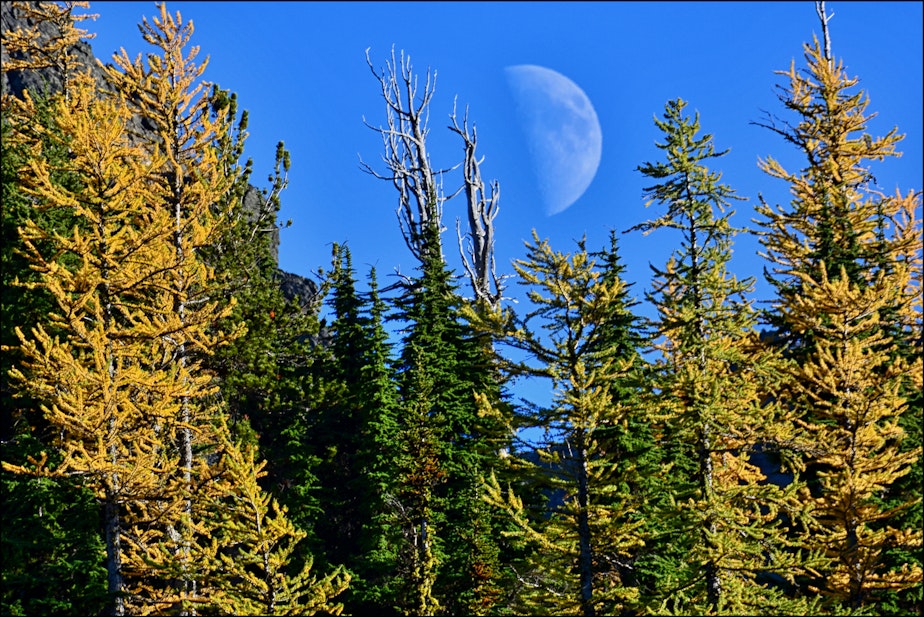 caption: Moon above Larch Lake in Washington's Chiwaukum Range.