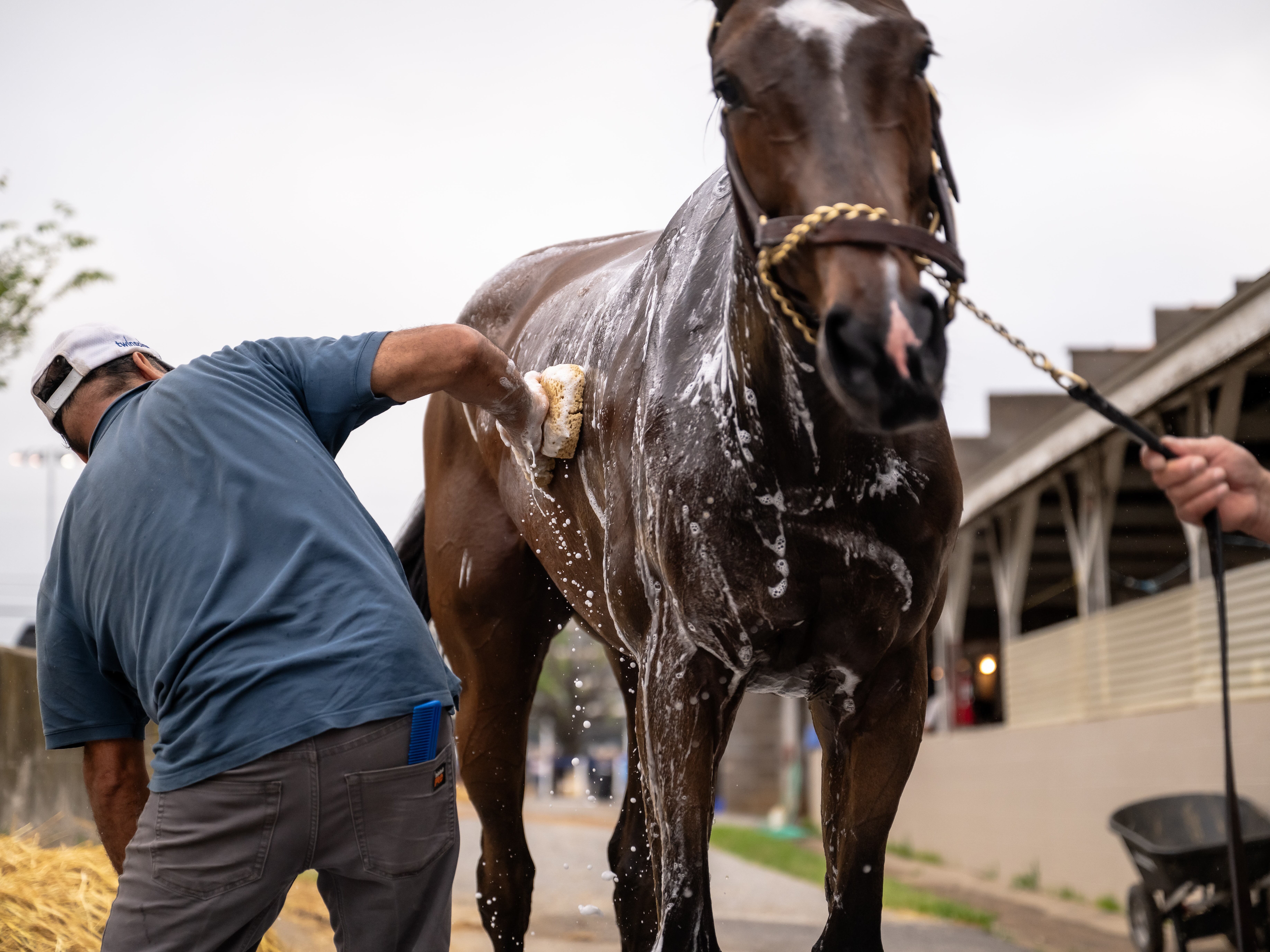 caption: A worker bathes a racehorses on the backside of a horse racing track in Louisville, Ky., on April 30, 2025.