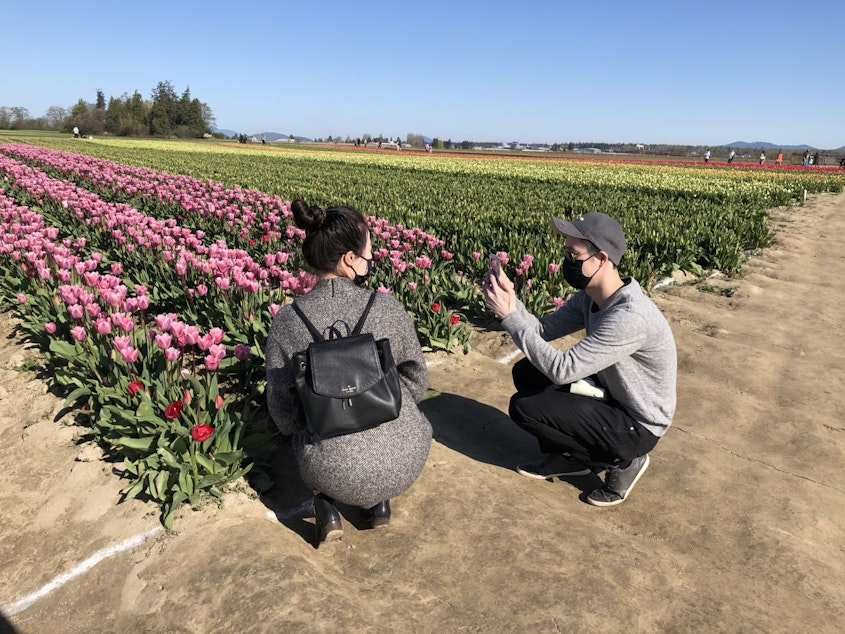 caption: Caroline and Jeremy Leung from Seattle take photos of each other at TulipTown tulip farm near Mount Vernon, Washington in April, 2021.