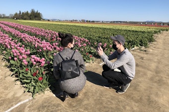 caption: Caroline and Jeremy Leung from Seattle take photos of each other at TulipTown tulip farm near Mount Vernon, Washington in April, 2021.