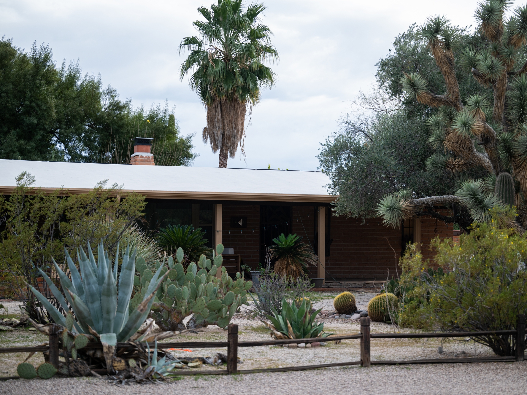 caption: Nancy Guthrie's daughter Annie's home is seen Thursday, Feb. 5, 2026, in Tucson, Ariz.