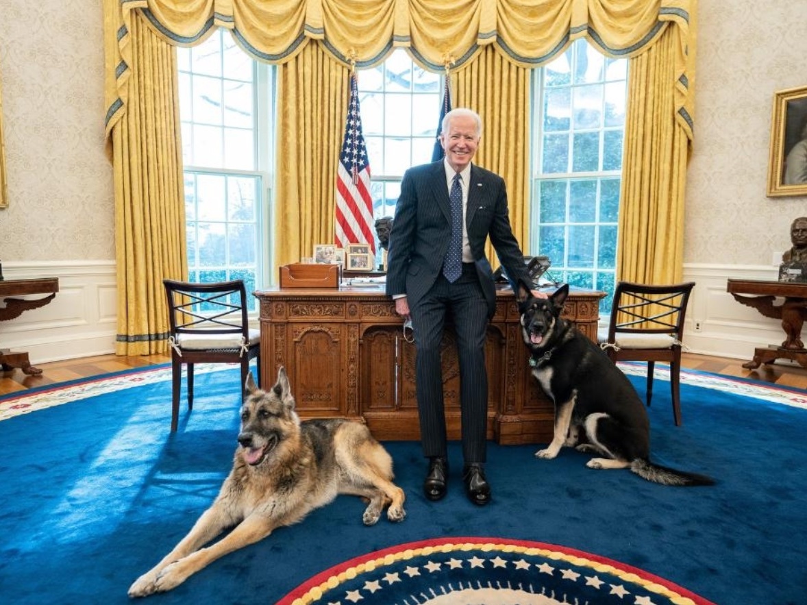 caption: Major, pictured on the right, was reportedly spooked by someone on Monday and allegedly "nipped" at them. White House officials said a doctor was called but no further treatment was needed.