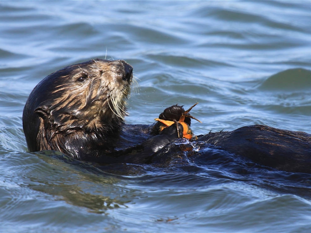 caption: He's never had to spend $20 on a salad and that is why he knows true peace.