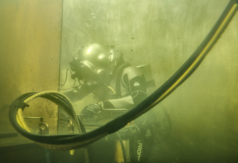 caption: Student William Holcomb does an underwater welding exercise in a diving tank at the Diver's Institute of Technology.