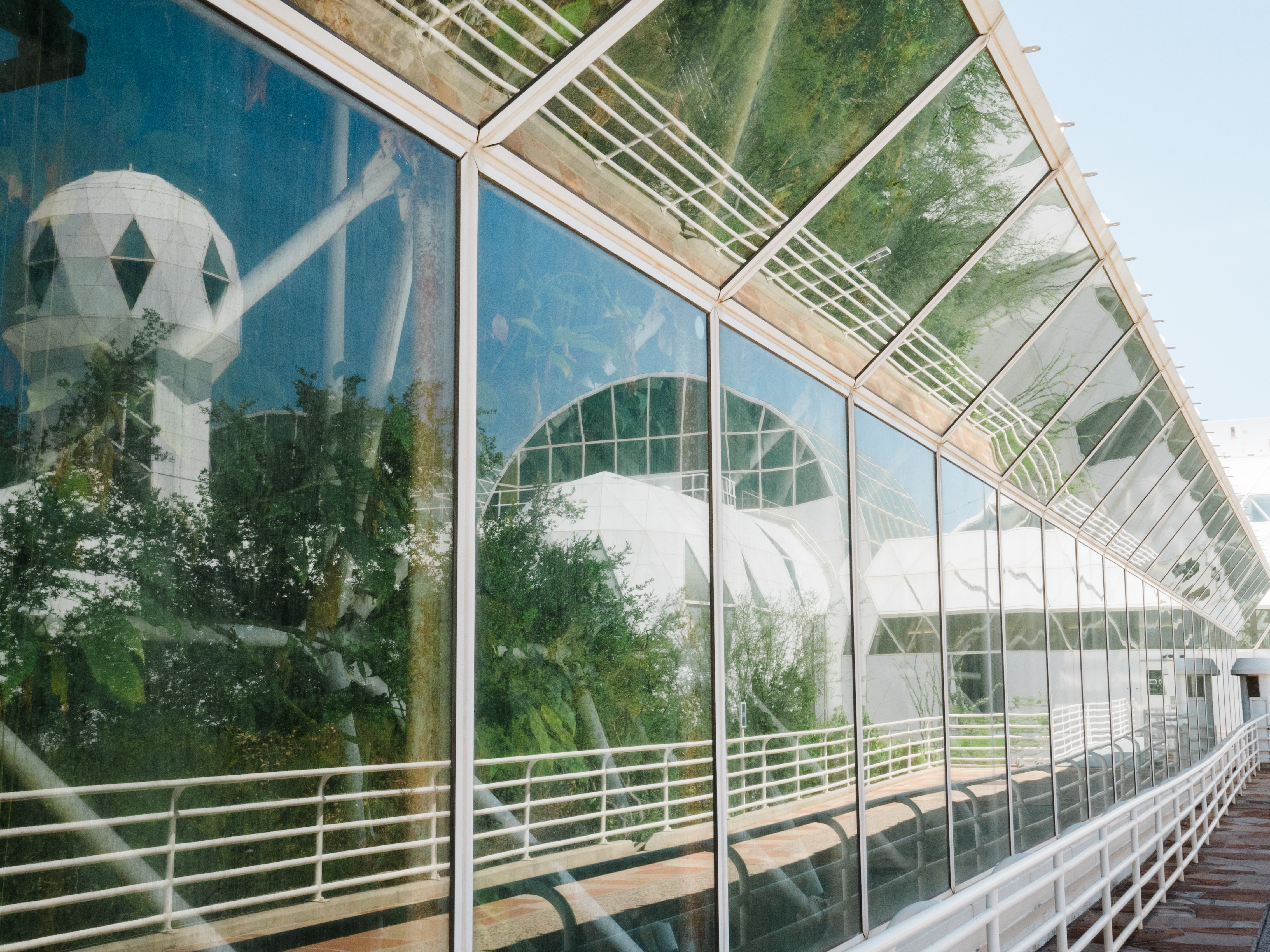 caption: Trees grow against the windows at Biosphere 2 on June 20, 2025 in Oracle, Ariz., U.S.