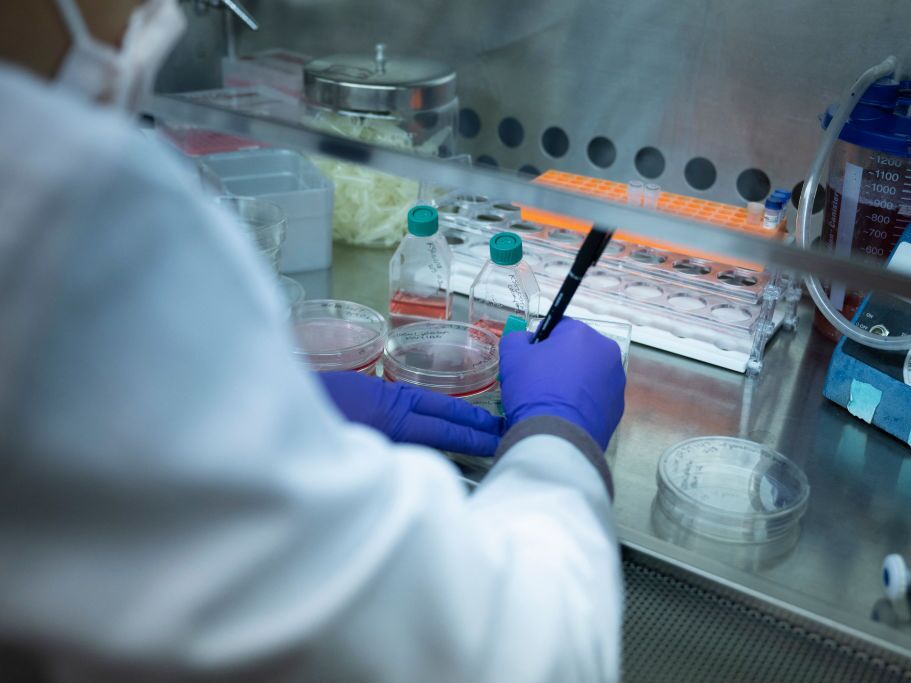 caption: A laboratory studying sickle cell disease at the National Heart, Lung, and Blood Institute's Cellular and Molecular Therapeutics Laboratory, at the National Institutes of Health on Feb. 8, 2024, in Bethesda, Md.