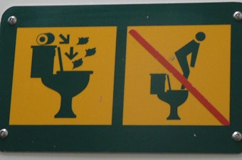 caption: Experts agree that the image on the left urges toilet users to flush toilet paper in the bowl rather than toss it in a trash can. As for the image on the right, it appears to offer a double warning: Don't stand on the seat, don't relieve yourself in the upper tank.