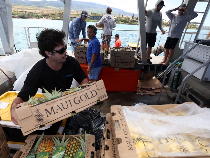 caption: Volunteers stack boxes of pineapple that will be transferred to shore by a small boat on Aug. 14, 2023, in Kaanapali, Hawaii. Volunteers are continuing to bring much needed supplies to the West Maui area.