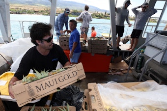 caption: Volunteers stack boxes of pineapple that will be transferred to shore by a small boat on Aug. 14, 2023, in Kaanapali, Hawaii. Volunteers are continuing to bring much needed supplies to the West Maui area.