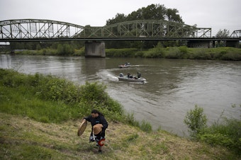 caption: FILE: Dakota Case makes his way up a hill along the Puyallup River before the Puyallup Tribe welcomed the first salmon of the year with a ceremony on Tuesday, May 15, 2018. 