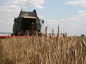 caption: A farmer harvests a wheat field about 130 miles north of Kyiv, in 2009.