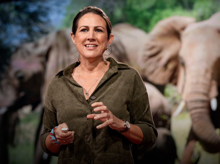 Biologist Lucy King speaks from the TED stage