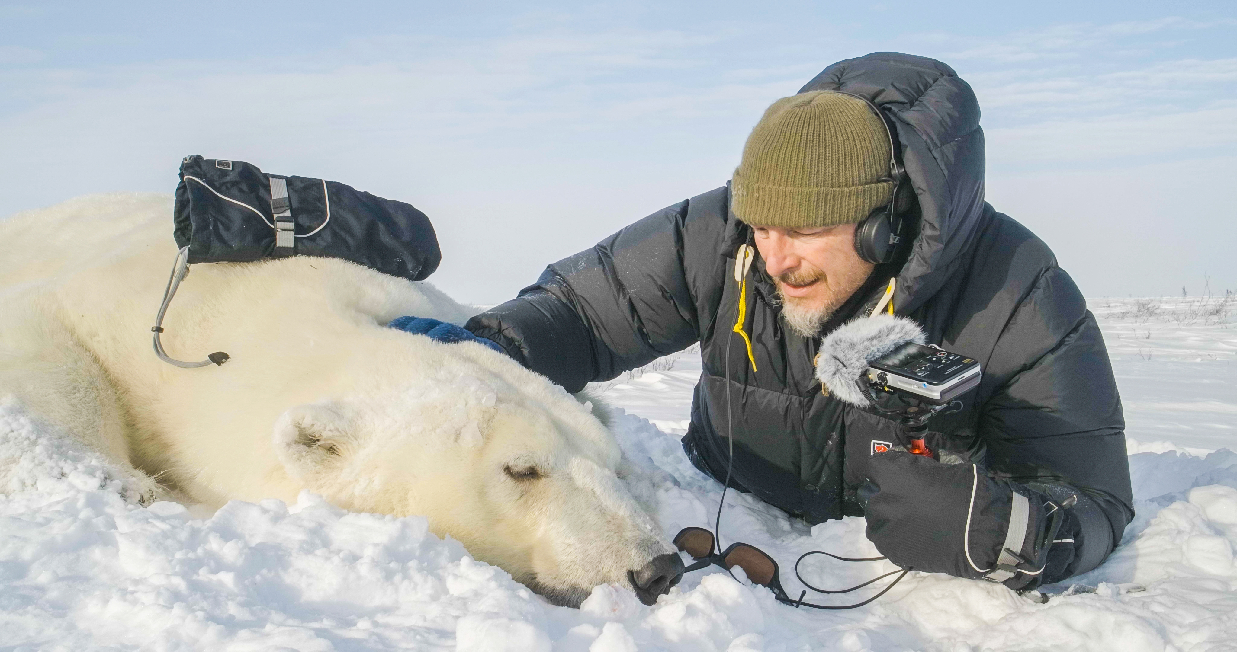KUOW - The polar bears of Hudson Bay: cubs, climate, and calories, part 1
