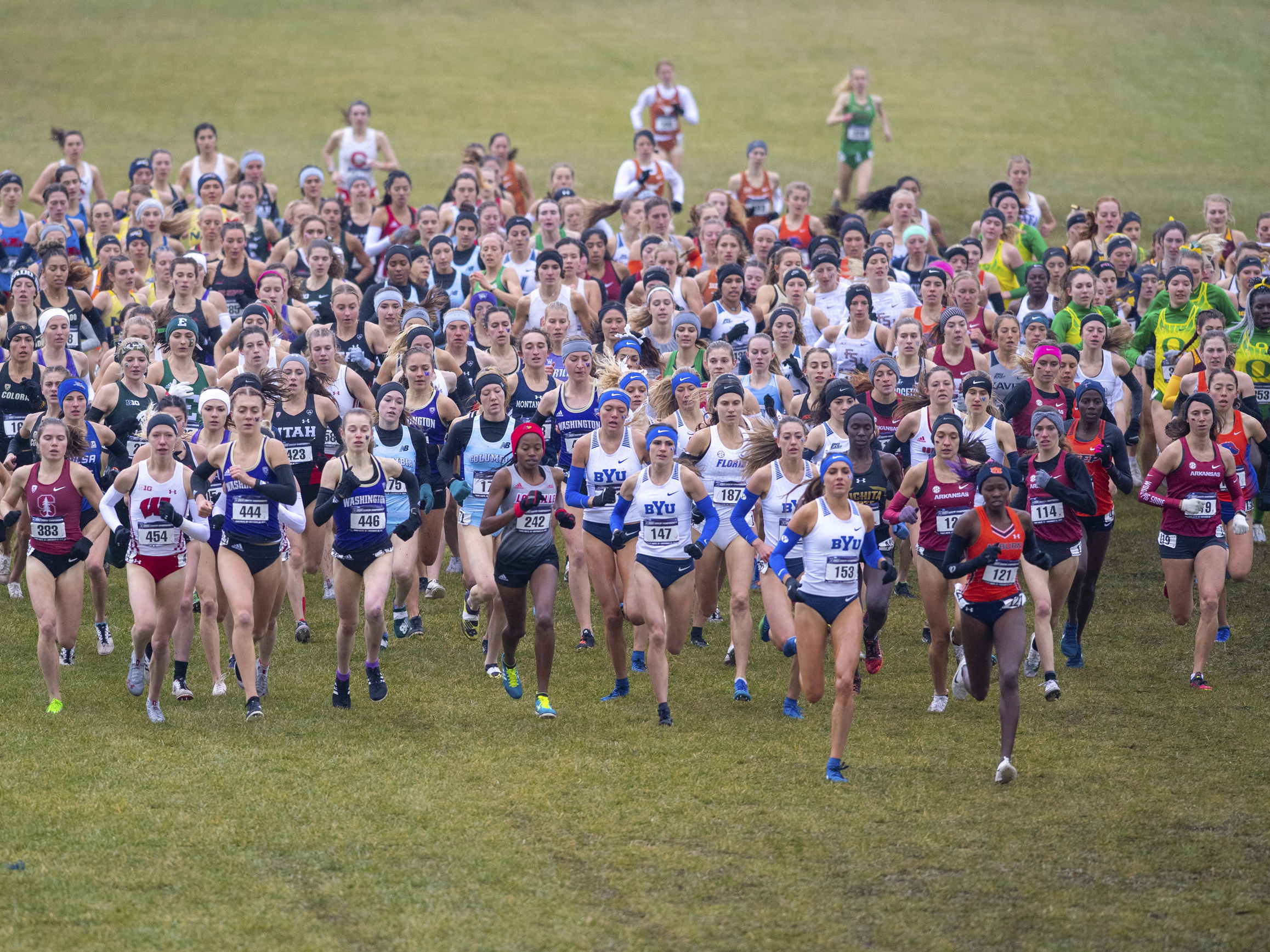 caption: Runners compete in the women's NCAA Division I Cross-Country Championships, Saturday, Nov. 23, 2019, in Terre Haute, Ind.