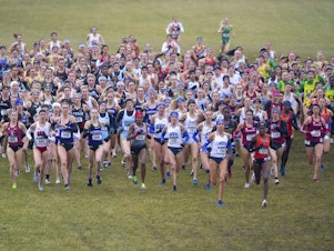caption: Runners compete in the women's NCAA Division I Cross-Country Championships, Saturday, Nov. 23, 2019, in Terre Haute, Ind.