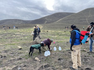 caption: Volunteers with the Columbia Basin chapter of Washington's Native Plant Society met up at a local hiking hotspot in southeastern Washington on a cold November afternoon to replant sagebrush tubelings and scatter seeds on a small section of the burn scar. 